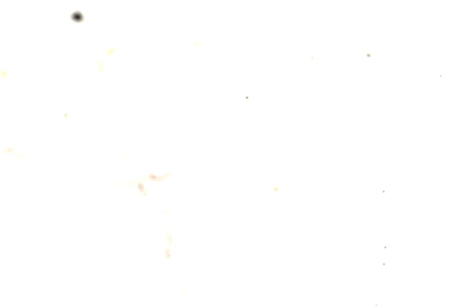 Image 210